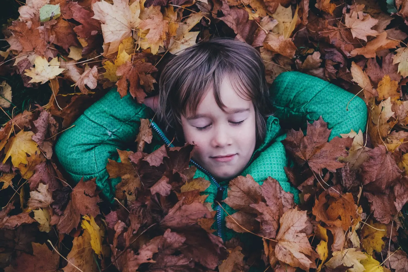 Image credit: Unsplash | Annie Spratt
