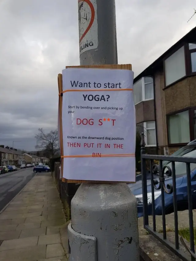 Image credit: Reddit | SchokiPanda