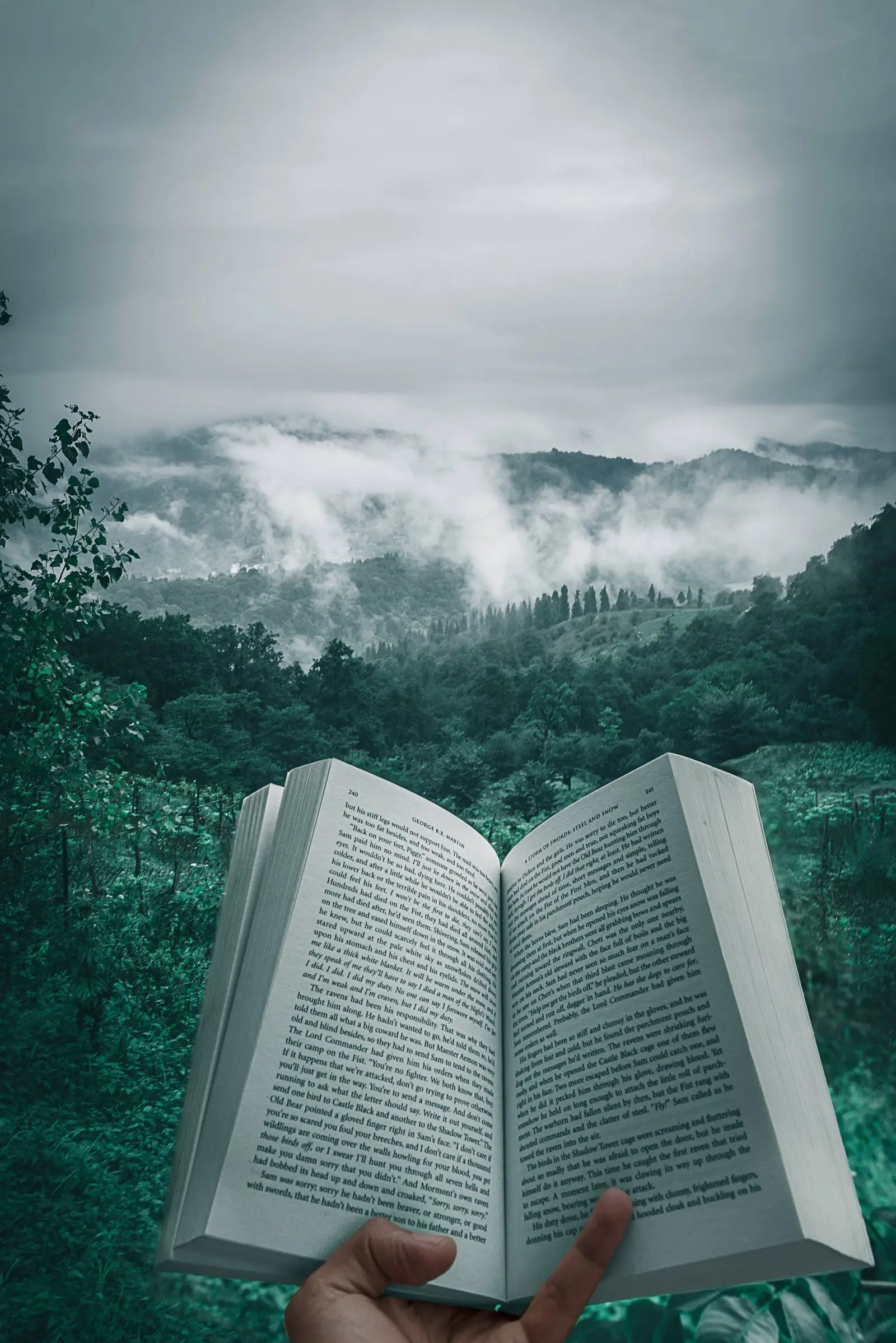 Image credit: Unsplash | Kourosh Qaffari