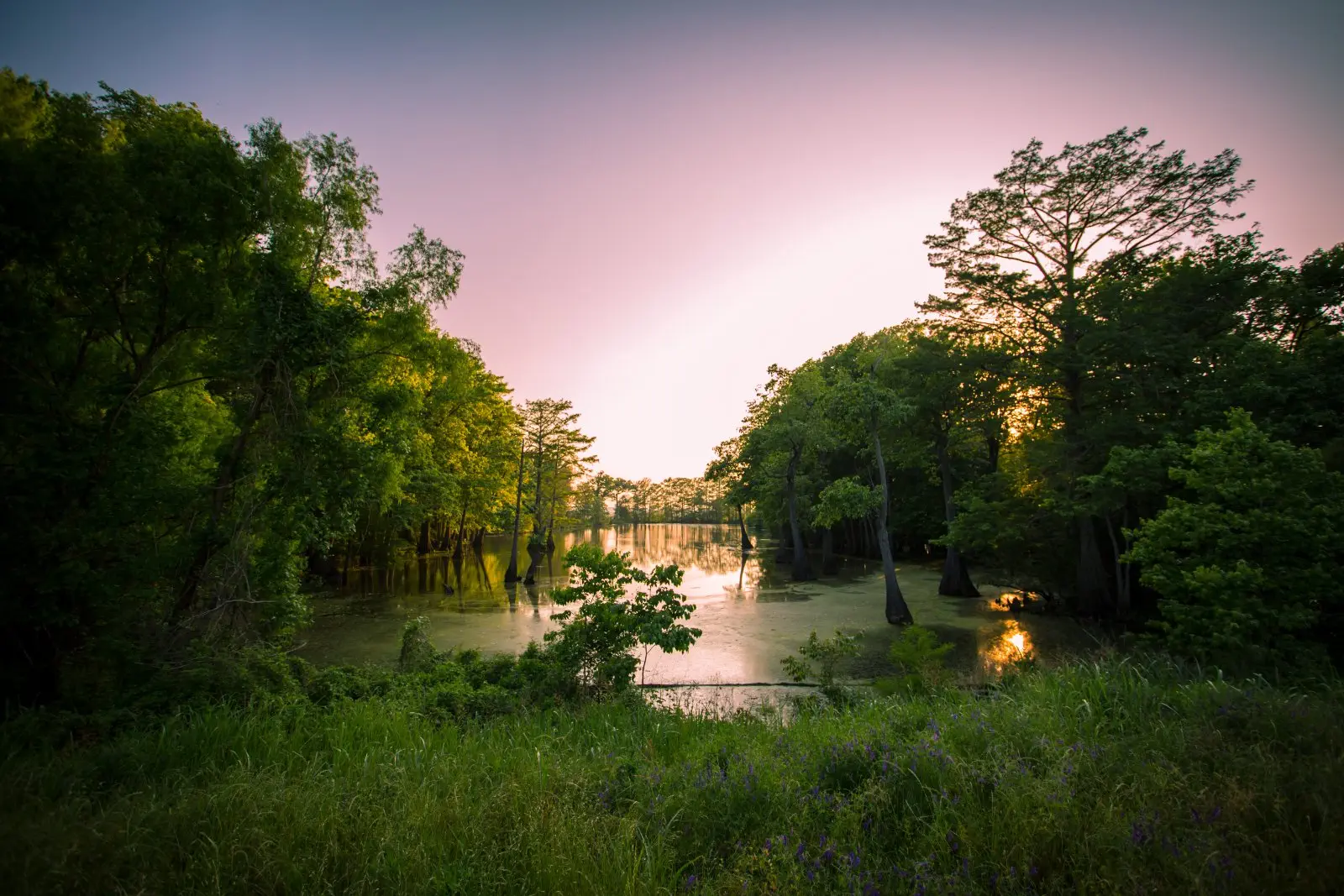 Image credit: Unsplash | Jp Valery
