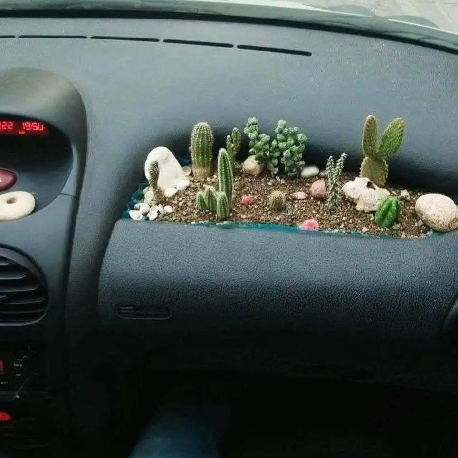 Image credit: Reddit | GallowBoob