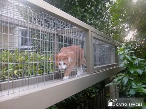 Image credit: Catio Spaces