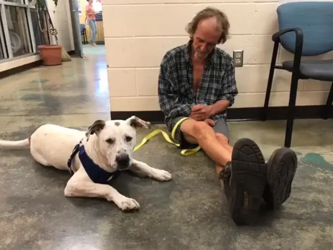 Image credit: Facebook | Memphis Animal Services