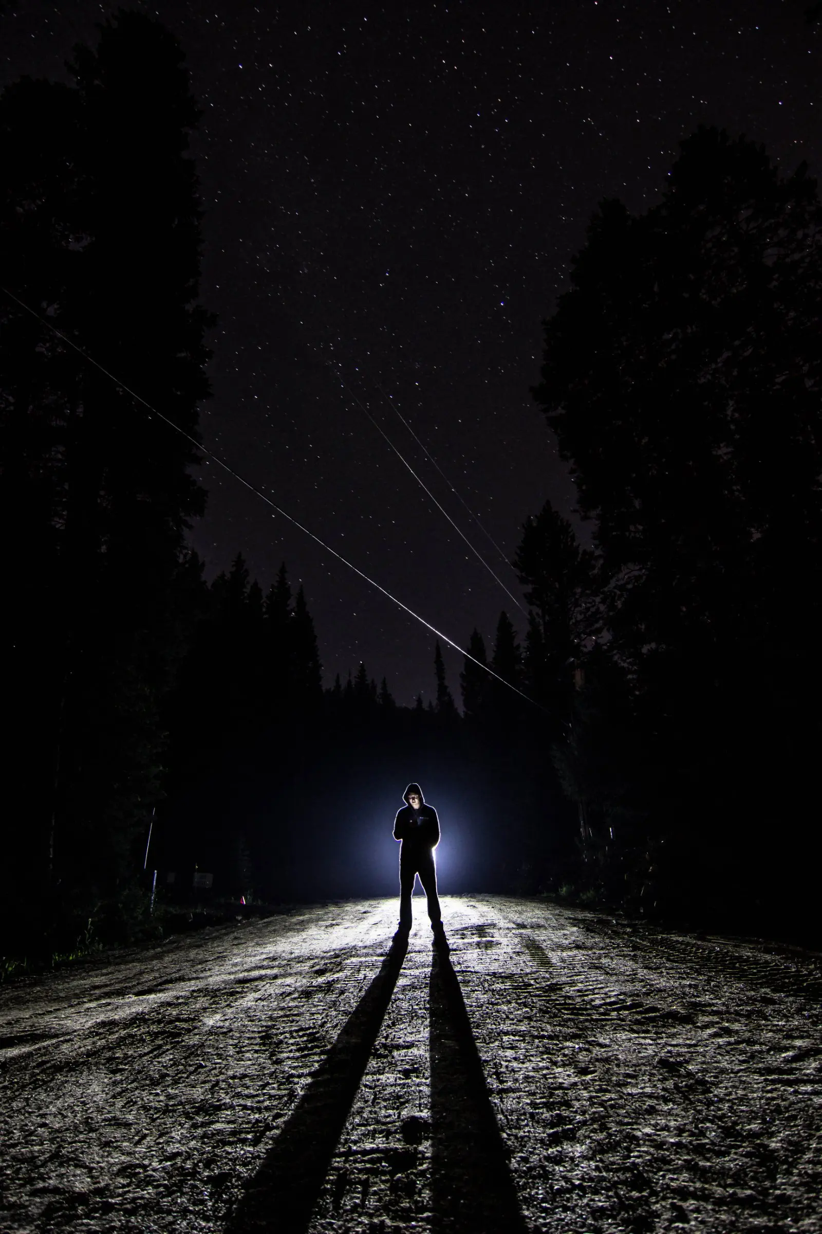 Image credit: Unsplash | Lionello DelPiccolo