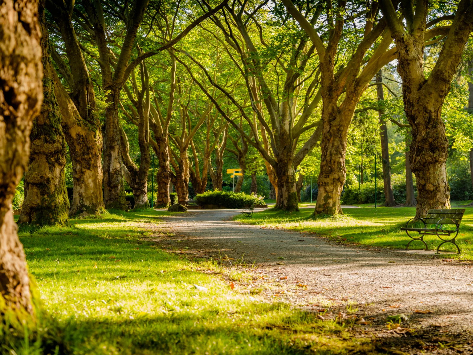 Image credit: Unsplash | Mike Benna