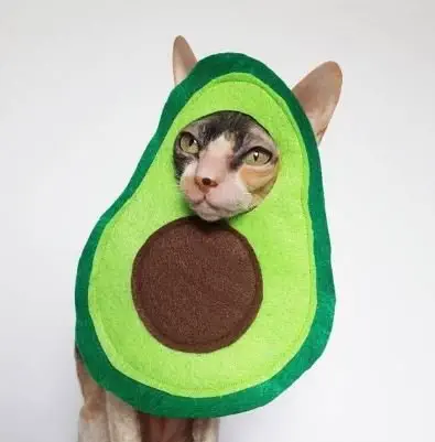 Image credit: Etsy