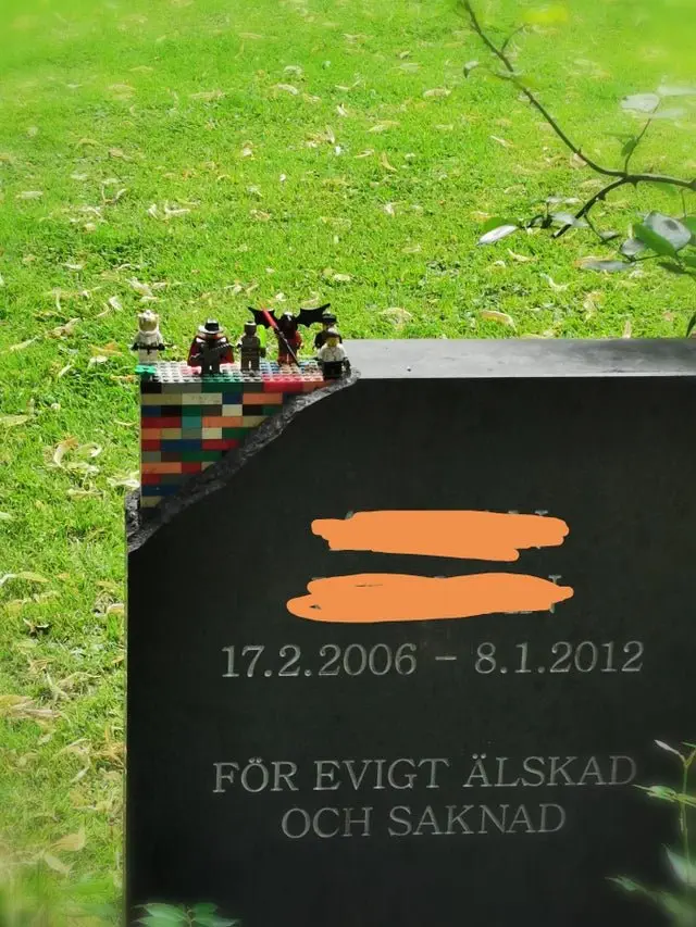 Image credit: Reddit | sonjabergstrom