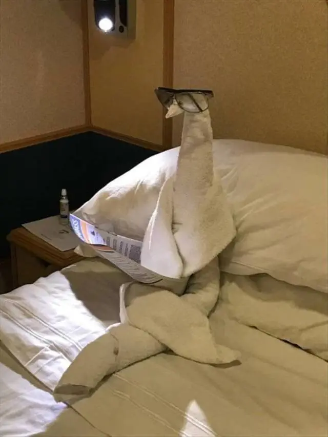 Image credit: Reddit | Mama_Ama