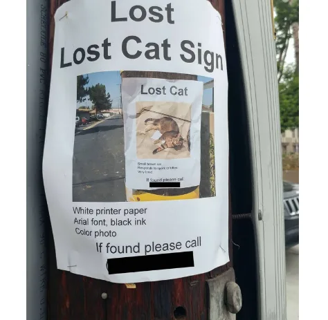 Image credit: Reddit | melancholicricebowl