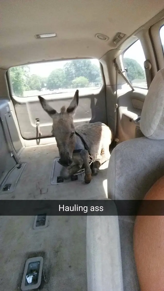Image credit: Imgur