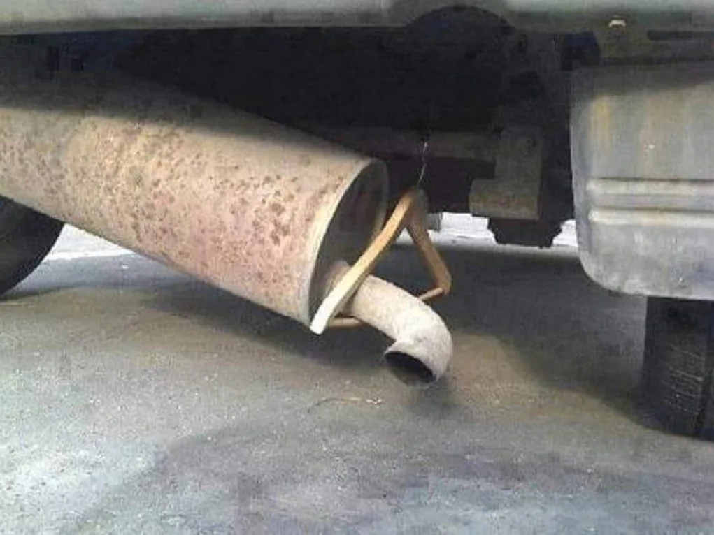 Image credit: Reddit | Mr_PoodlePants