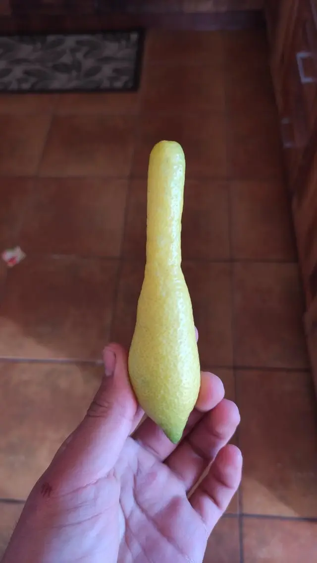 Image credit: Reddit | NessianWarden