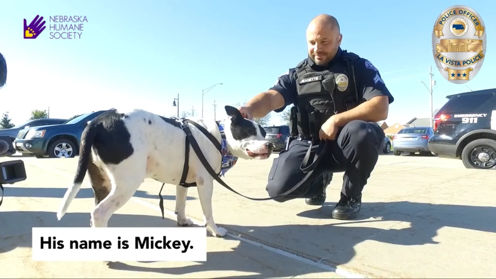 Image credit: YouTube | citylavista