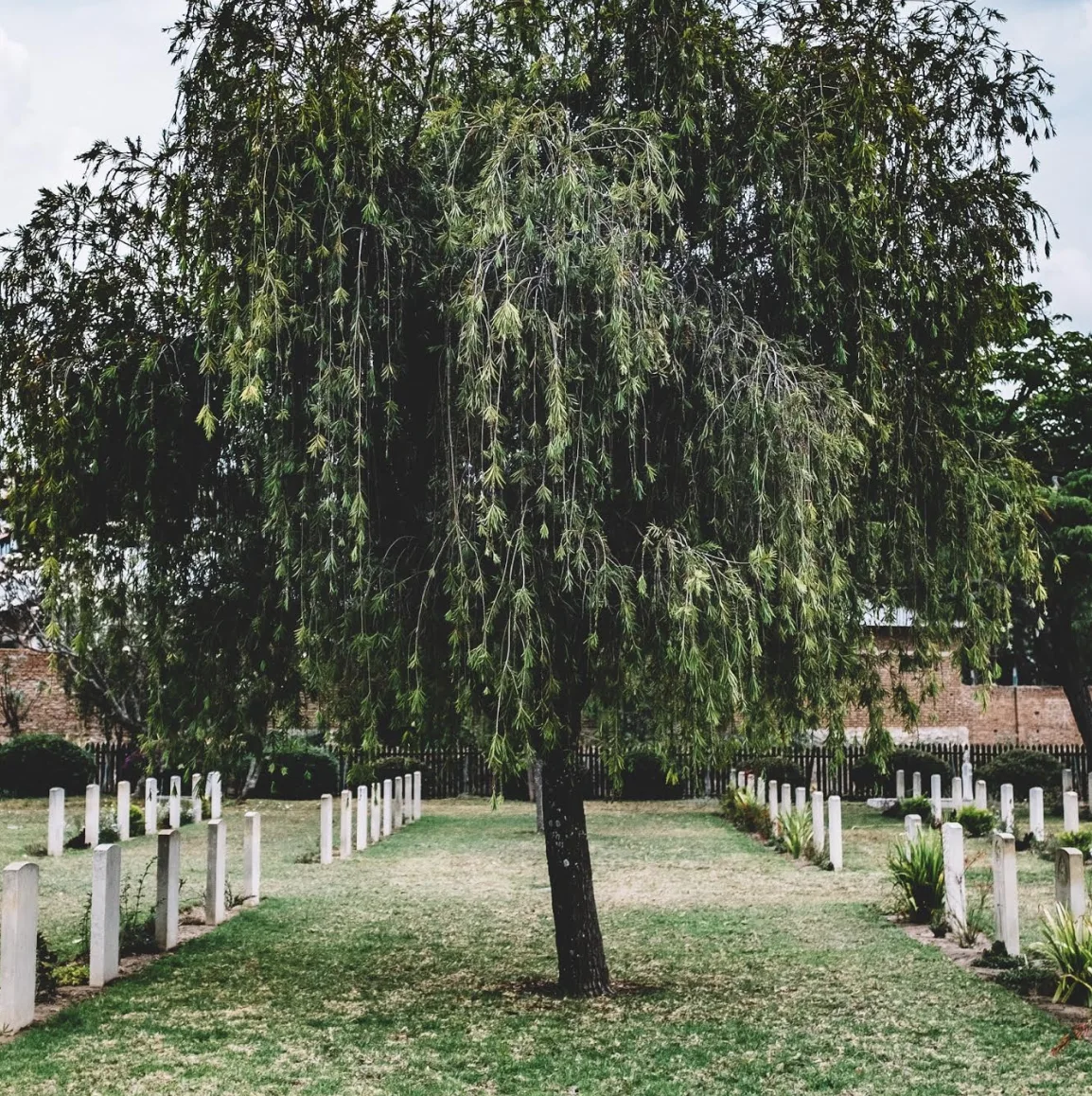 Image credit: Ashim D’Silva | Unsplash