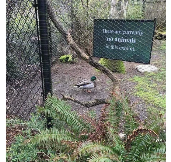 Image credit: Reddit | XOH94
