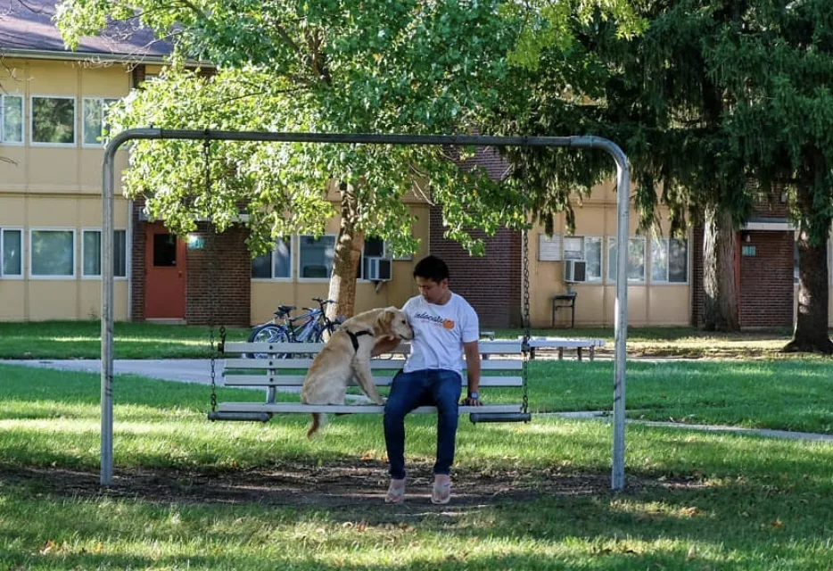 Image credit: Instagram | benzenethechemdog