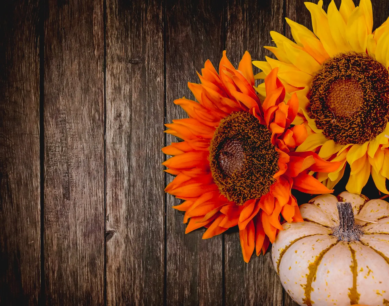 Image credit: Unsplash | Eric Tompkins