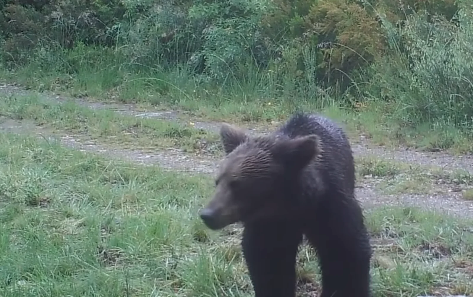 Image credit: YouTube | vigo al minuto, Zeitun Films