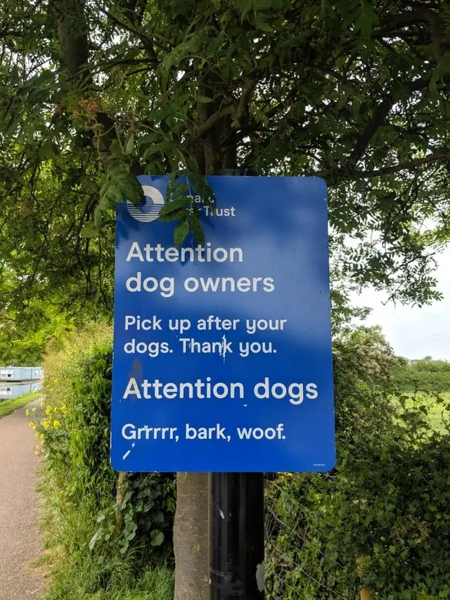 Image credit: Reddit | the_hillman