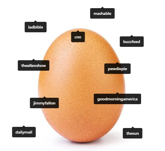 Image credit: Instagram | @world_record_egg