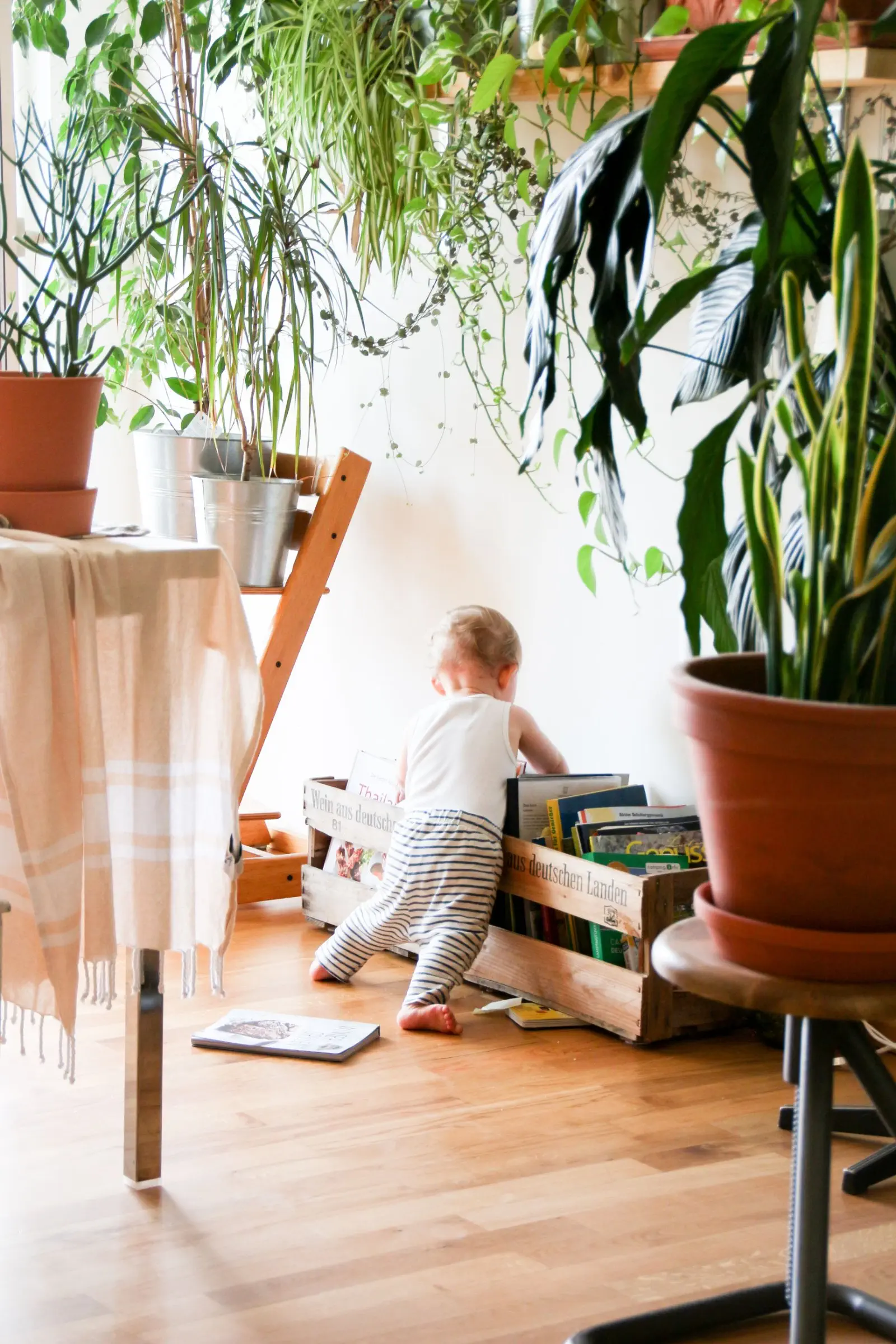 Image credit: Unsplash | Brina Blum