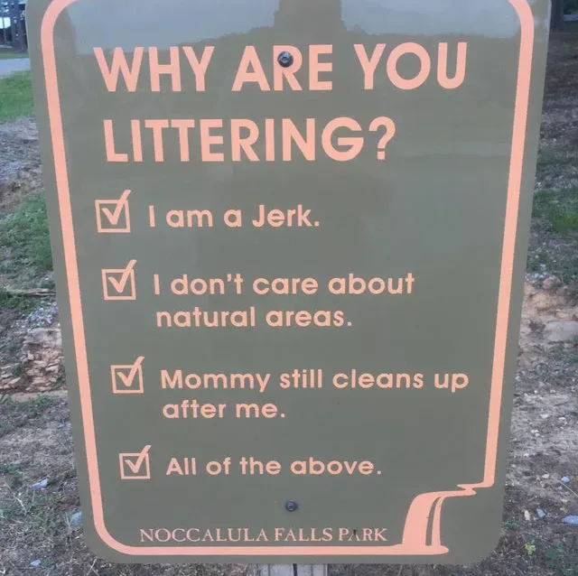 Image credit: Reddit | KuronFury