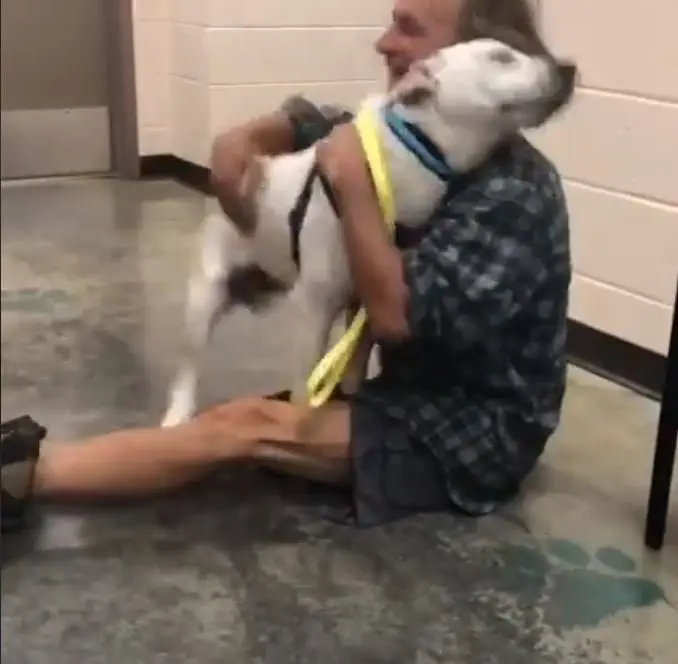 Image credit: Facebook | Memphis Animal Services