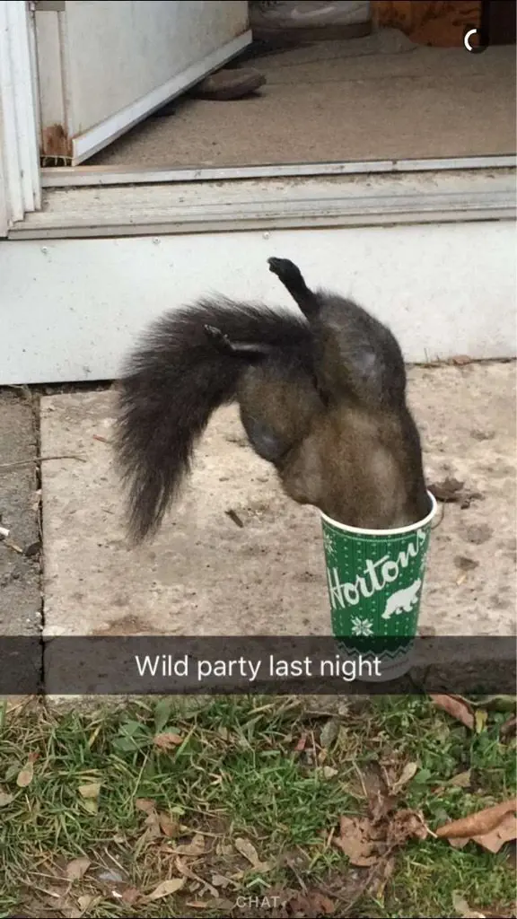 Image credit: Imgur