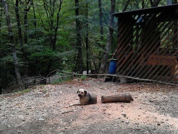 Image credit: Reddit
