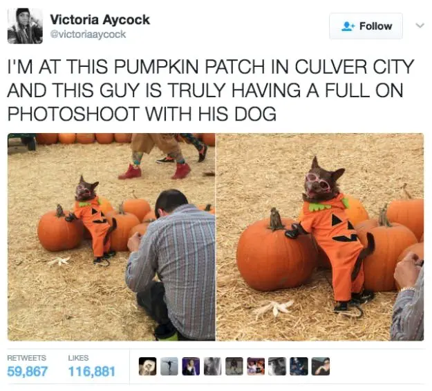 Image credit: Twitter | @victoriaaycock