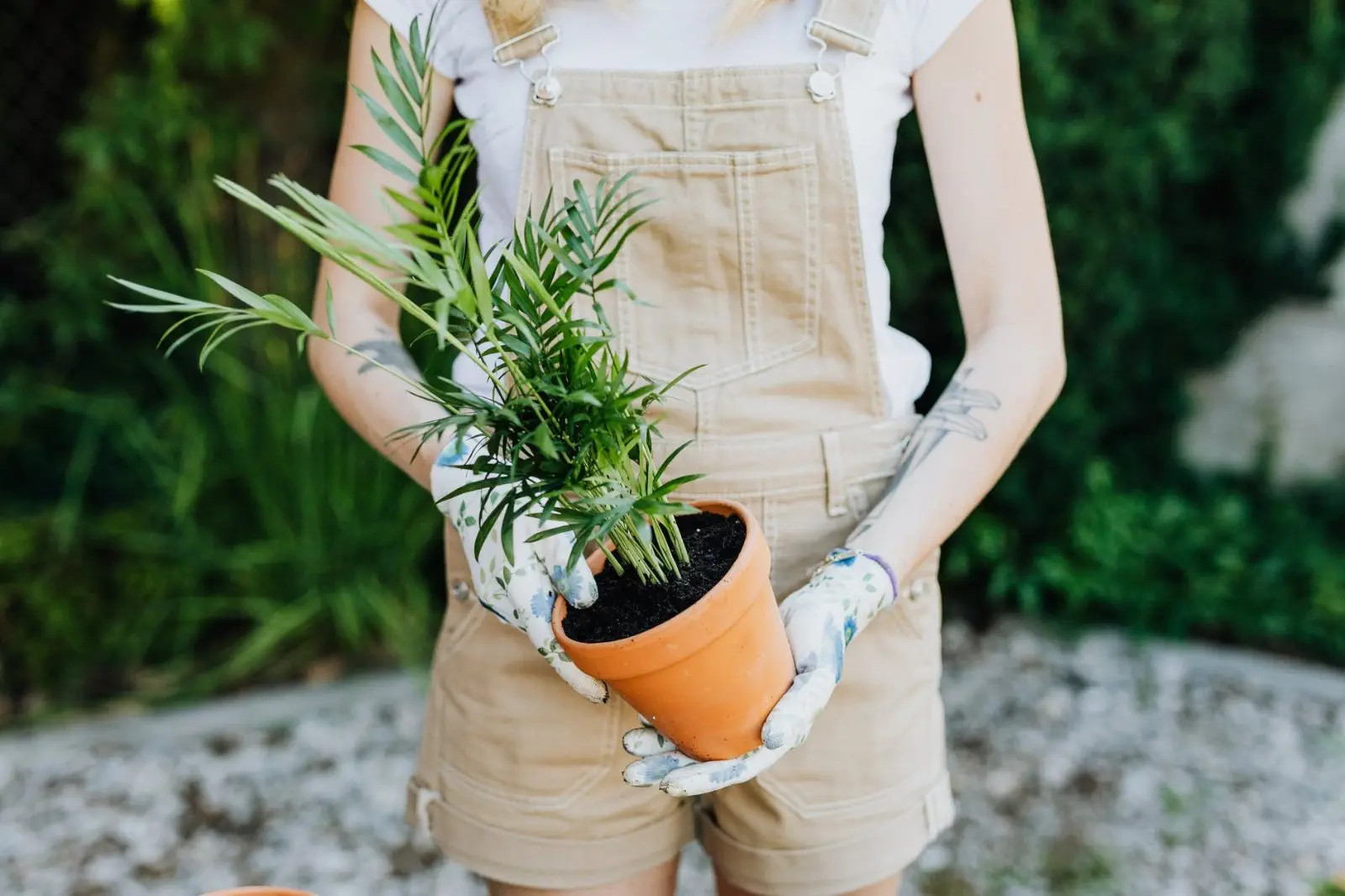 Image credit: Pexels
