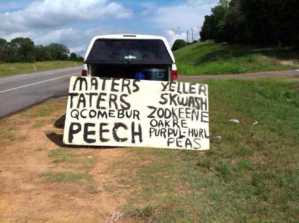 Image credit: Reddit | 5_Frog_Margin