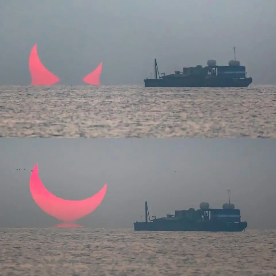 Image credit: Reddit | purpleplumtreea