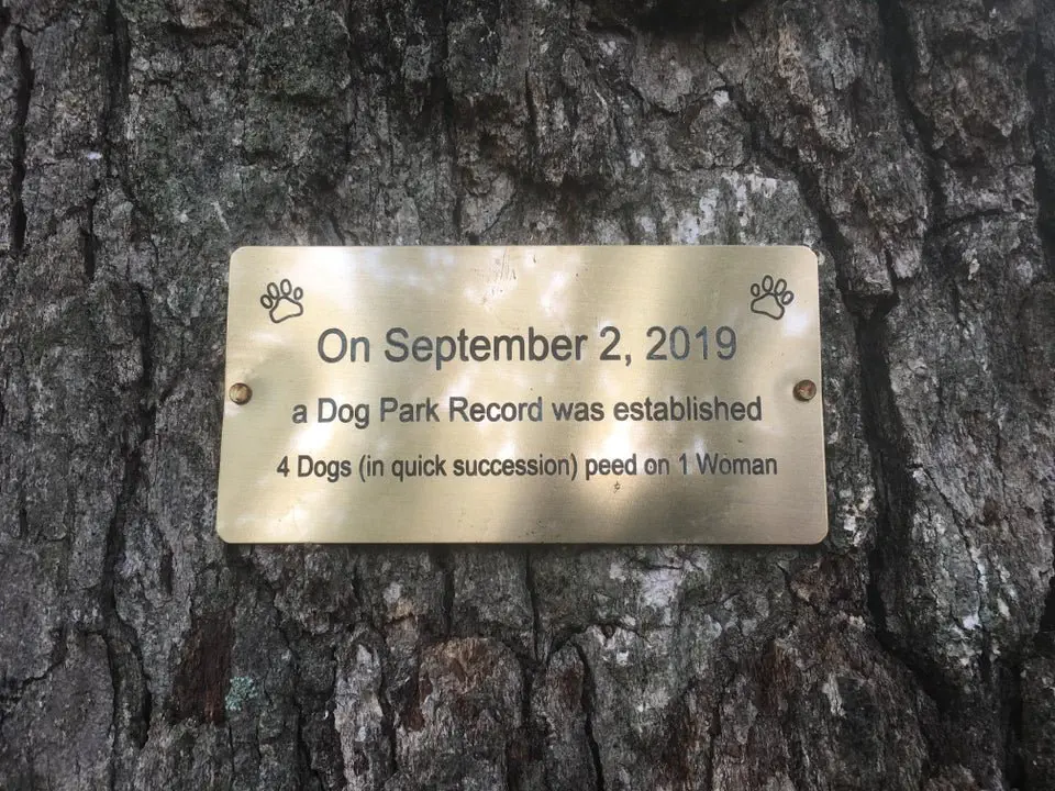 Image credit: Reddit | TheDangerStranger