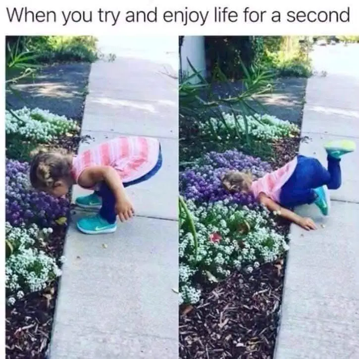 Image credit: Imgur | ElbowLickingTrainer