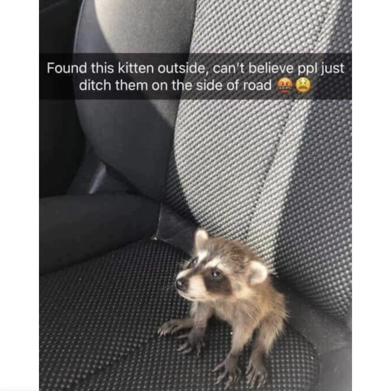 Image credit: Reddit | Cwisypoo