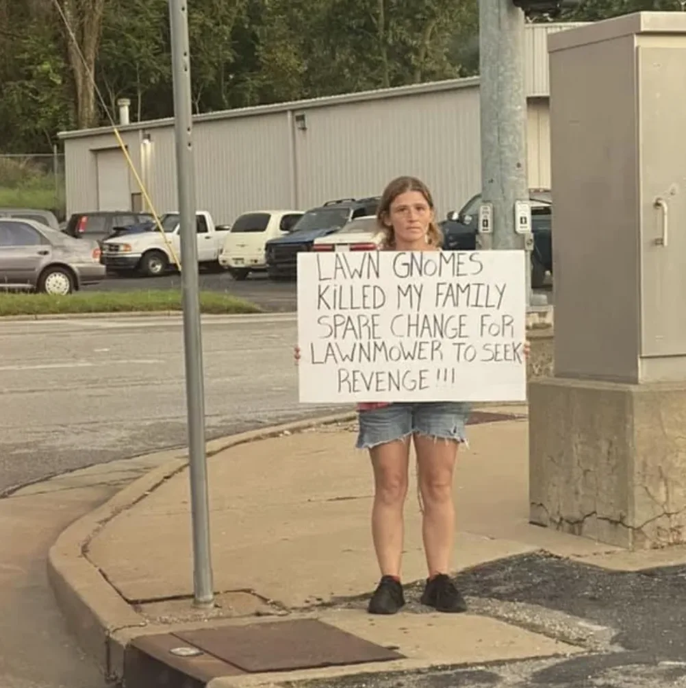Image credit: Reddit | raindropsandwhiskers