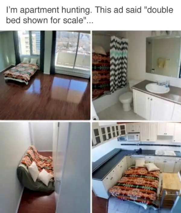 Image credit: Imgur | Imgur
