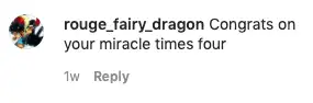 Image credit: Instagram | @rouge_fairy_dragon