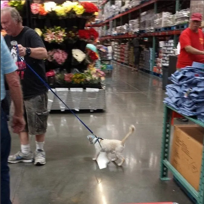 Image credit: Reddit