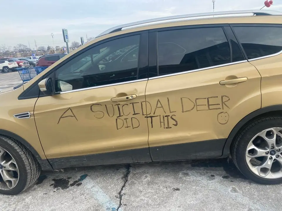 Image credit: Reddit | jenpriester