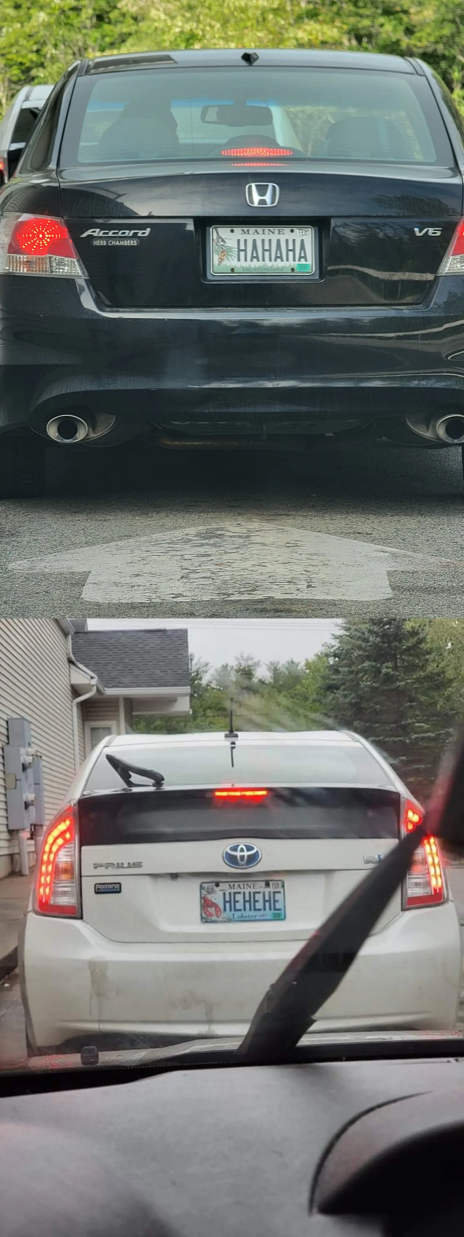 Image credit: Reddit | duckduckbananas