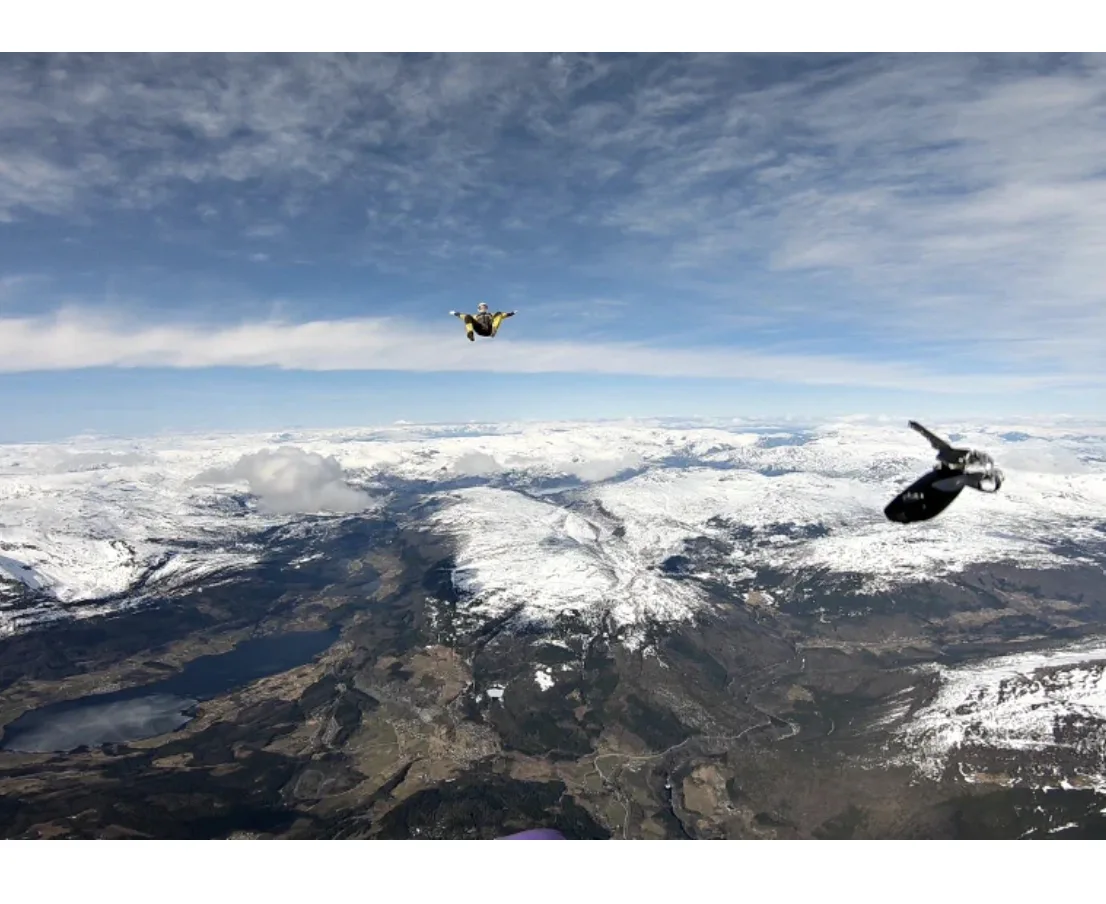 Image credit: Reddit | SkydiveShady