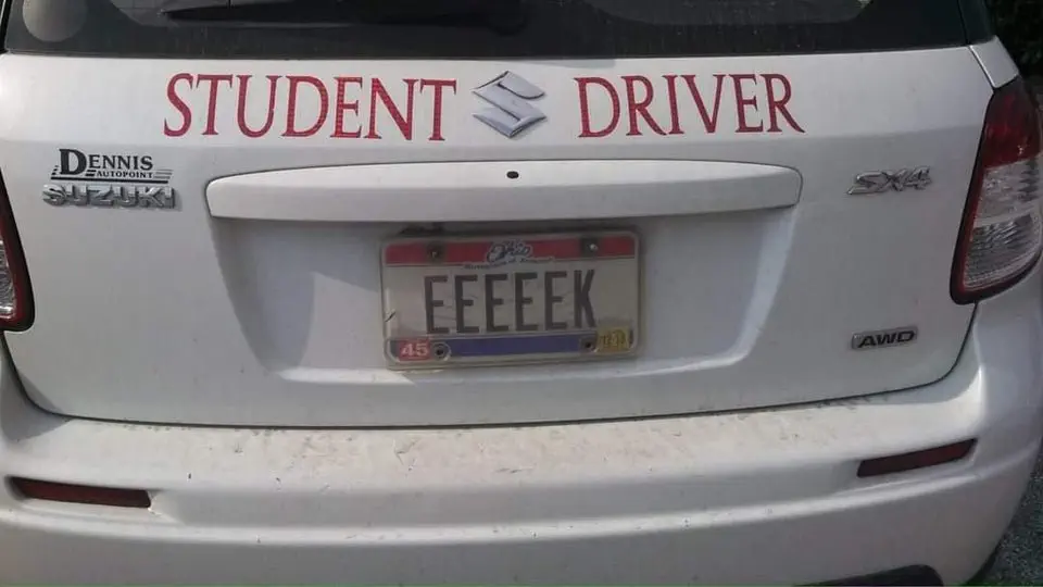 Image credit: Reddit | CannaZebra