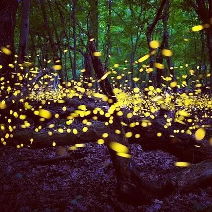 Image credit: Instagram | @beth71desmarais