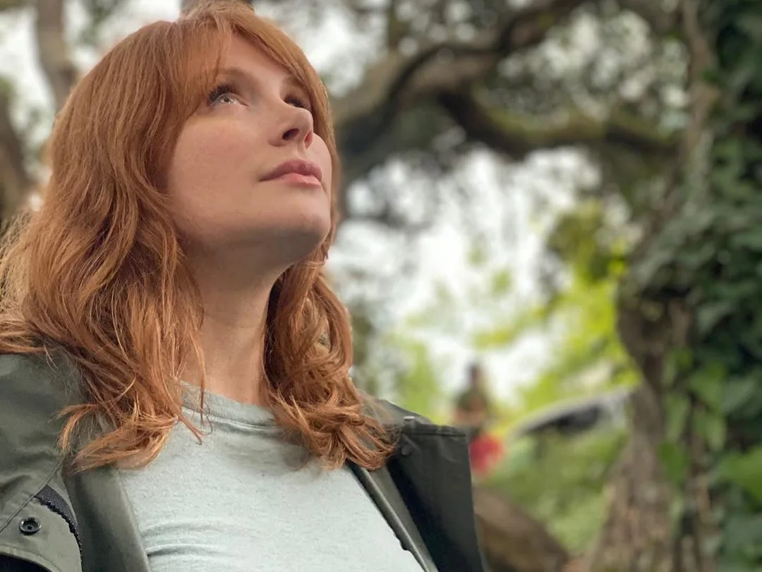 Image credit: Instagram | @brycedhoward