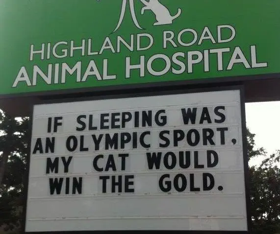 Image credit: Facebook | Highland Road Animal Hospital