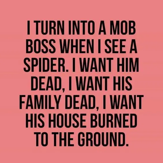Image credit: Pinterest