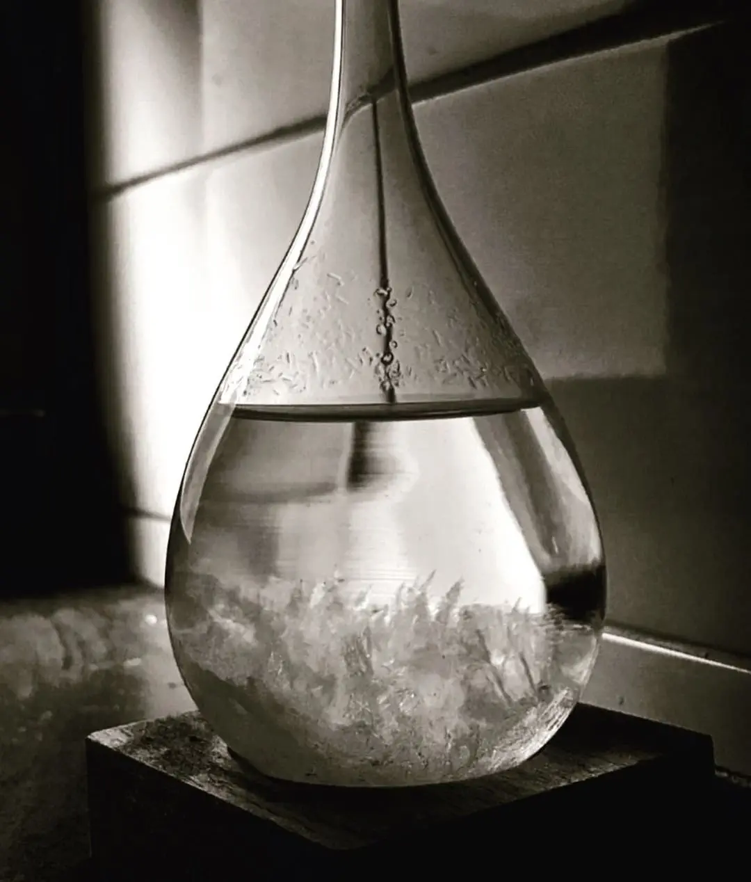 Image credit: Instagram | @eightfold.m