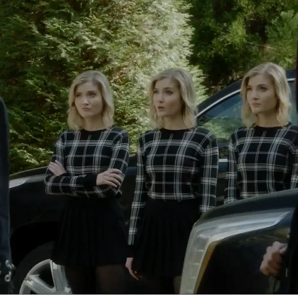 Image credit: https://diplycom5cc47.zapwp.com/q:i/r:0/wp:1/w:1/u:https://commons.wikimedia.org/wiki/File:Skyler_samuelsFrost.Sisters.png